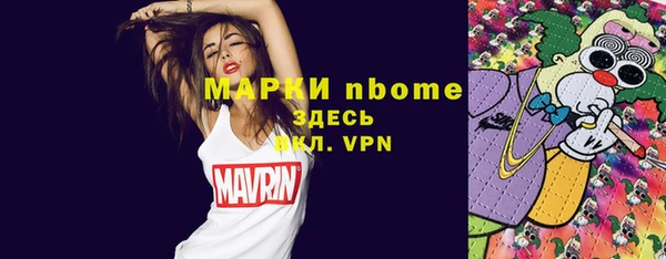 тгк Гусь-Хрустальный