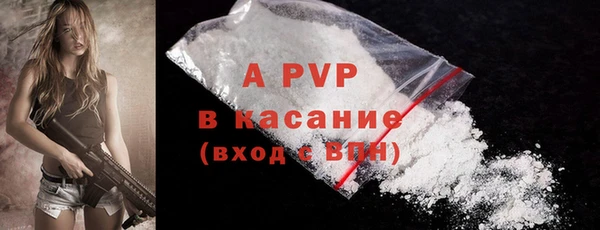 сатива Гусиноозёрск