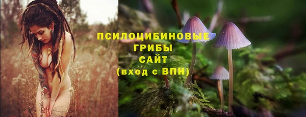 сатива Гусиноозёрск