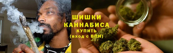 тгк Гусь-Хрустальный