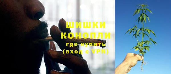 дурь Гусев