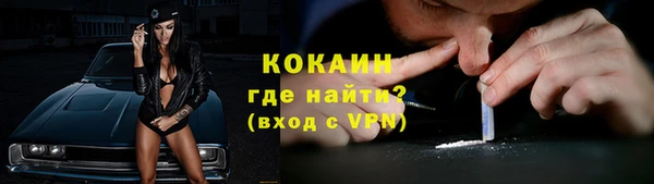 дурь Гусев