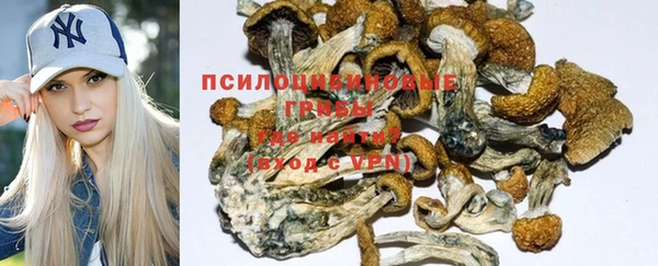 дурь Гусев