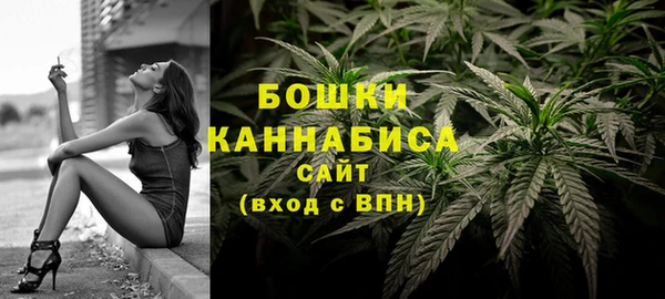 тгк Гусь-Хрустальный