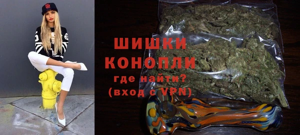 дурь Гусев