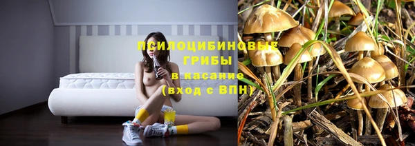 тгк Гусь-Хрустальный