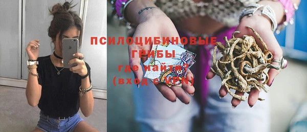дурь Гусев