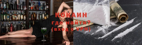 дурь Гусев
