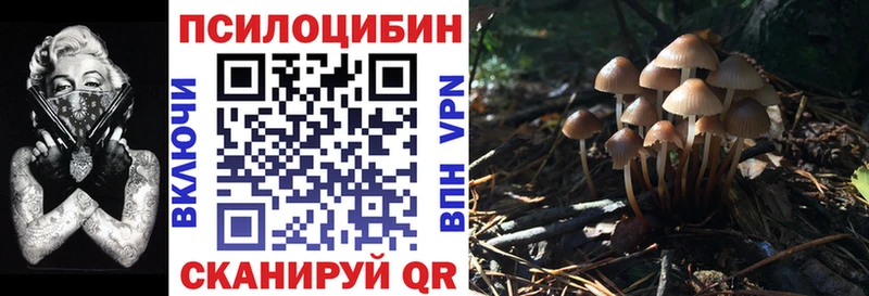 Купить закладки  Клин  Псилоцибиновые грибы мицелий 